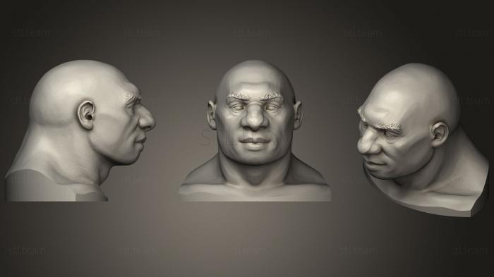 3D model Neanderthal Head (STL)